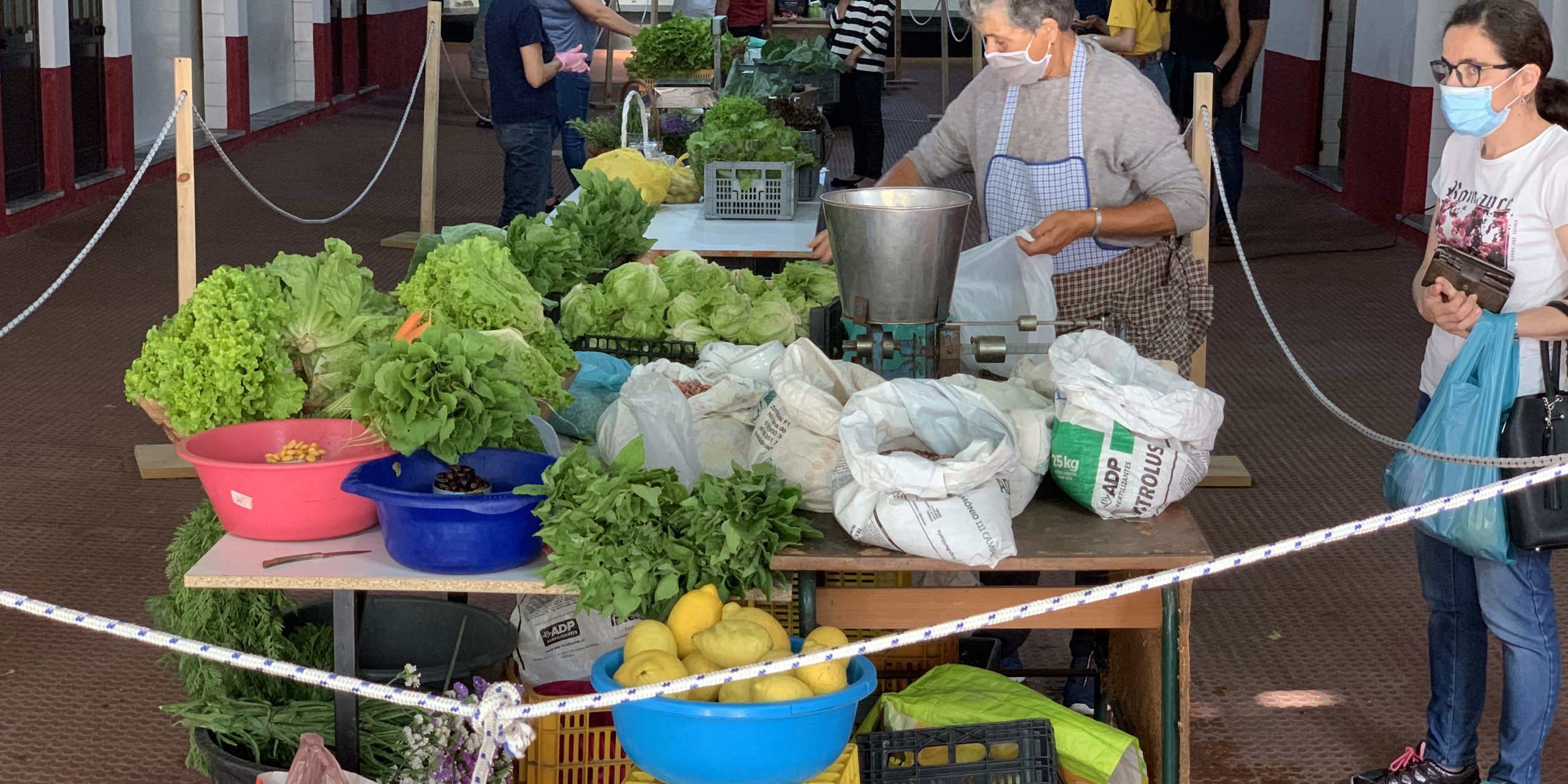 mercadinho-agricola-esta-ser-um-sucesso (1)