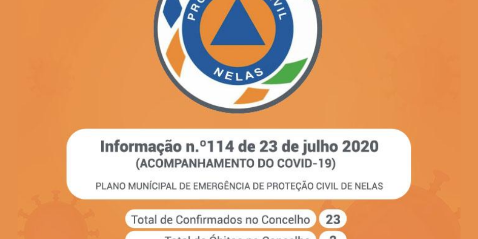 Casos imputados ao Concelho -23julho