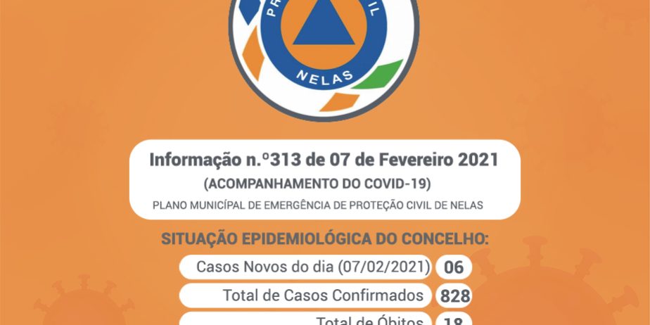Covid19-info313