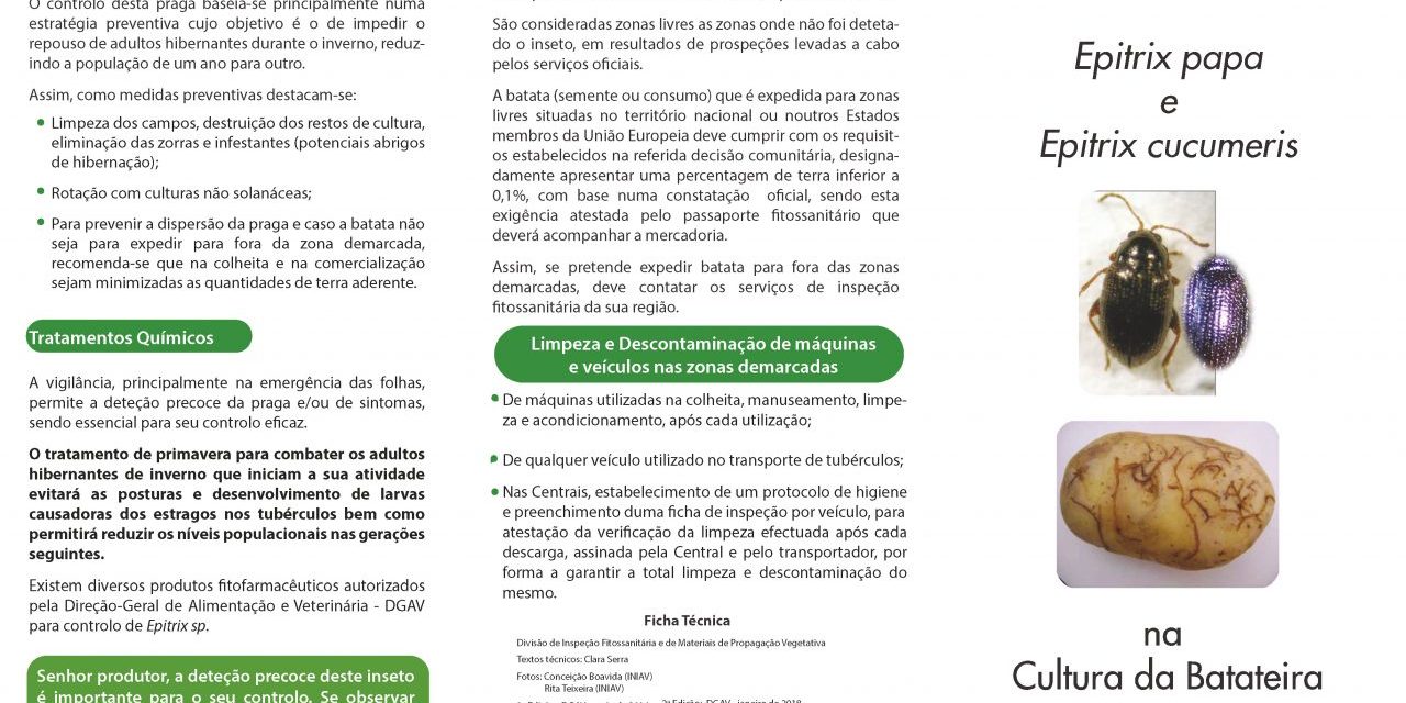 Epitrix_E2_Página_1