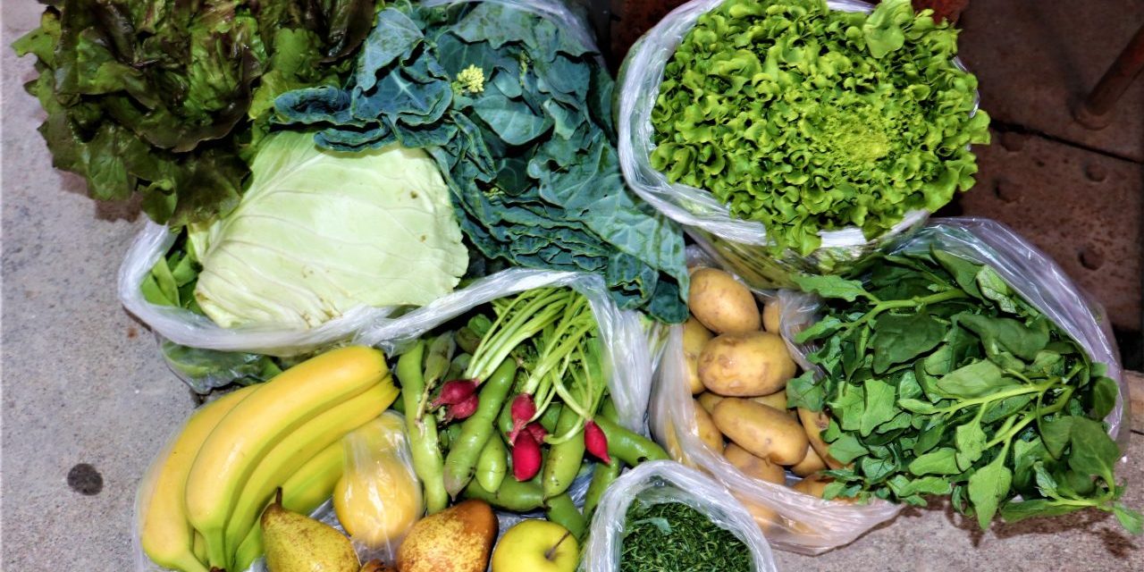 distribuicao-produtos-horticolas-17.06.2021