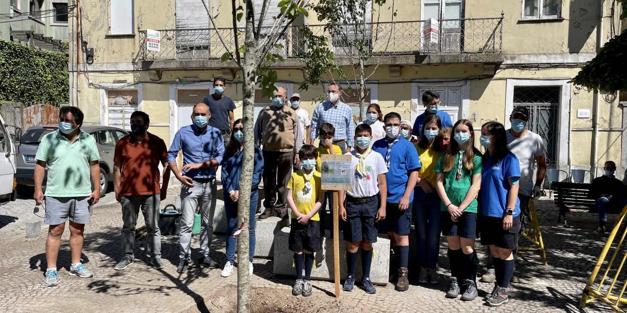 plantacao-arvores-largo-herculano-nelas (1)
