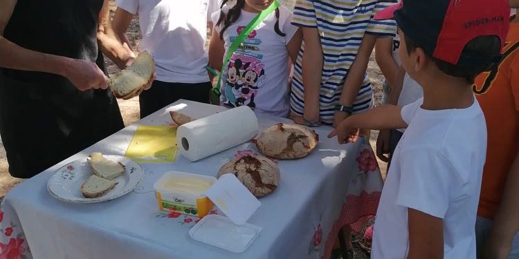 ferias-acao-verao-2022-fim