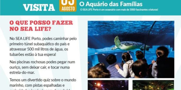 ferias-palmo-meio-sea-life