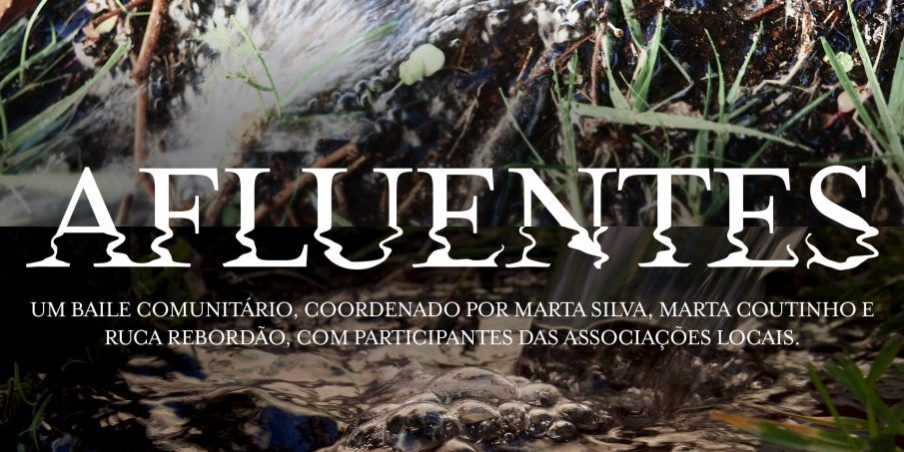 Cartaz Dança Espetáculos – Alto Mondego copy