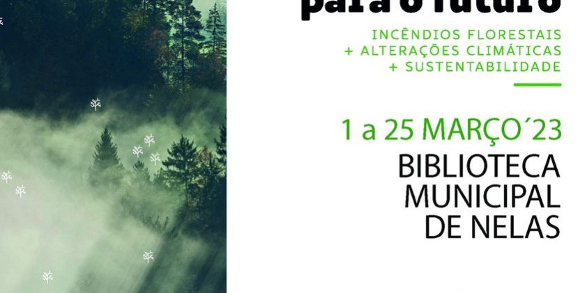 exposicao-floresta-biblioteca-nelas