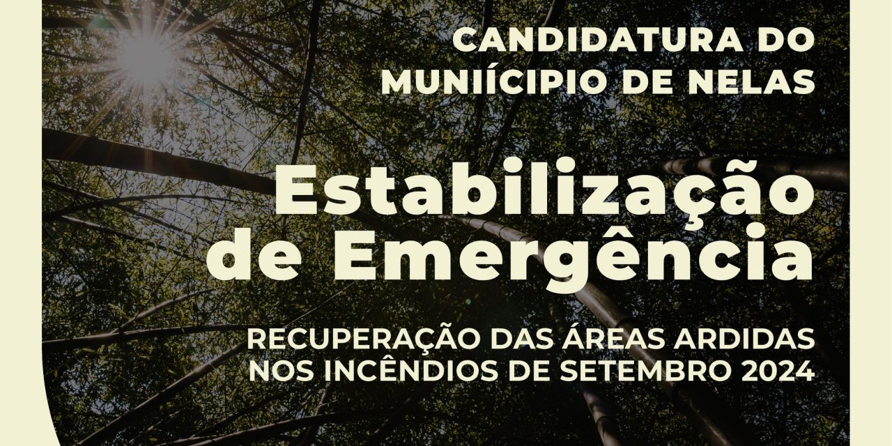 candidatura-incendios