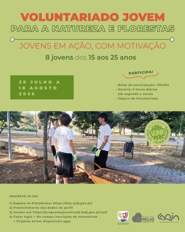 voluntariado-jovem-2026