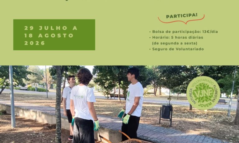 voluntariado-jovem-2026