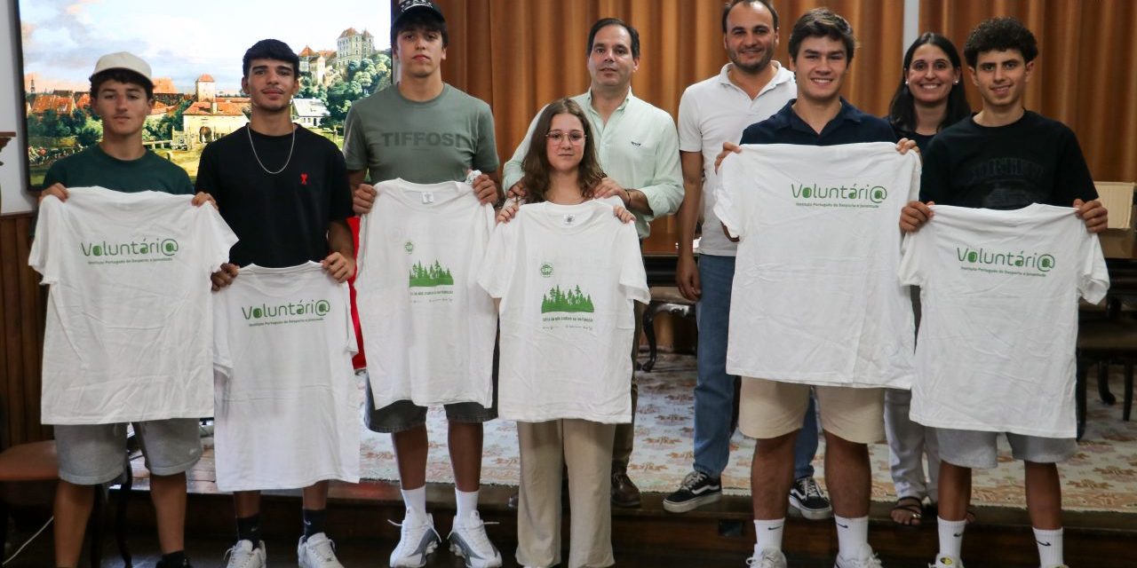 Voluntariado Jovem