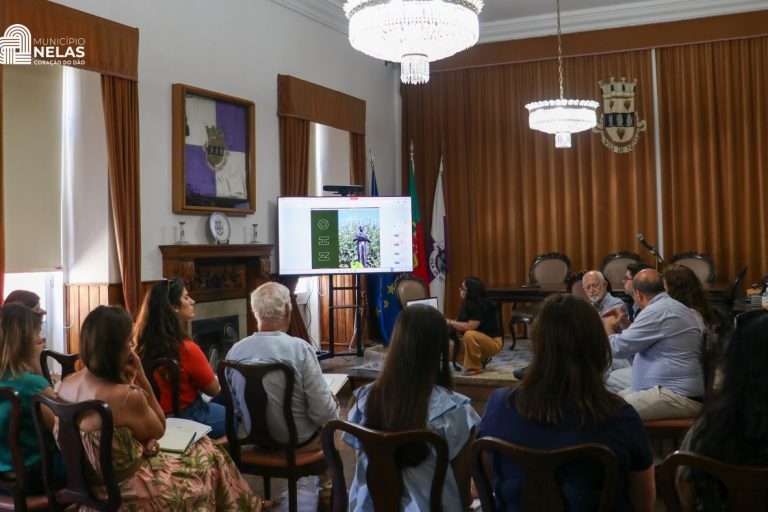Reunião FVDão