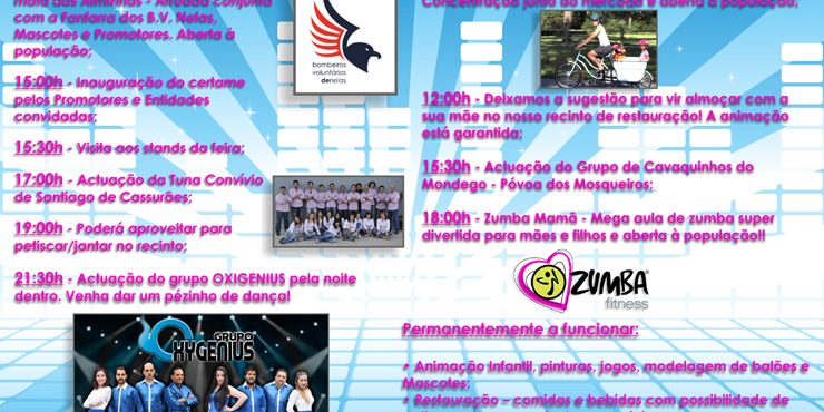 Cartaz Arraial 740