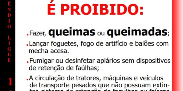 Queimadas 001
