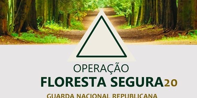 operacao_floresta_segura_2020_banner