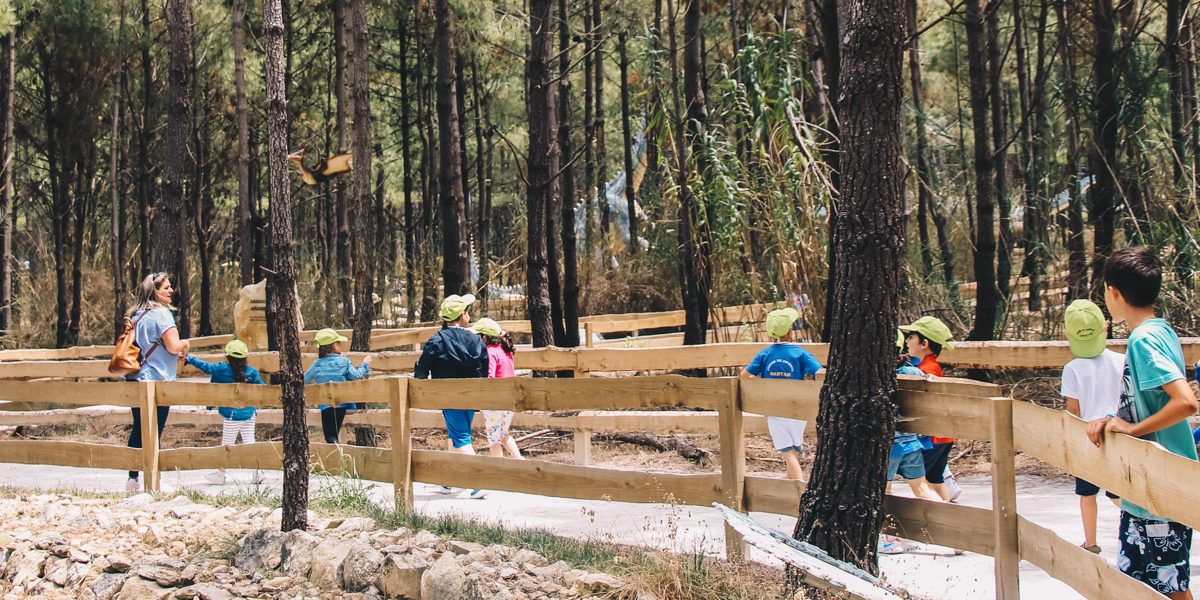 visita-dino-parque-escolas-de-nelas-2019 (2)